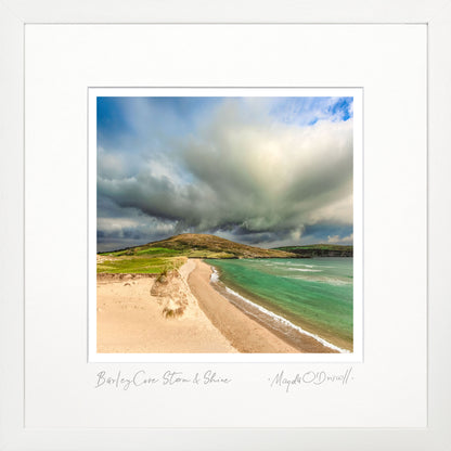 Barley Cove Storm &amp; Shine /NEW/