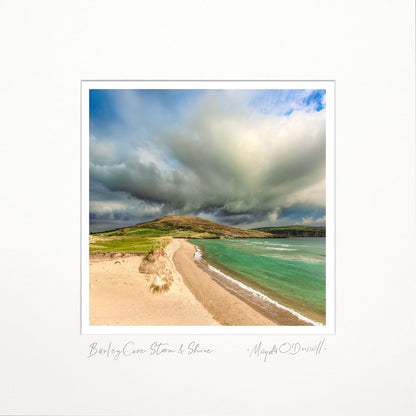 Barley Cove Storm &amp; Shine /NEW/