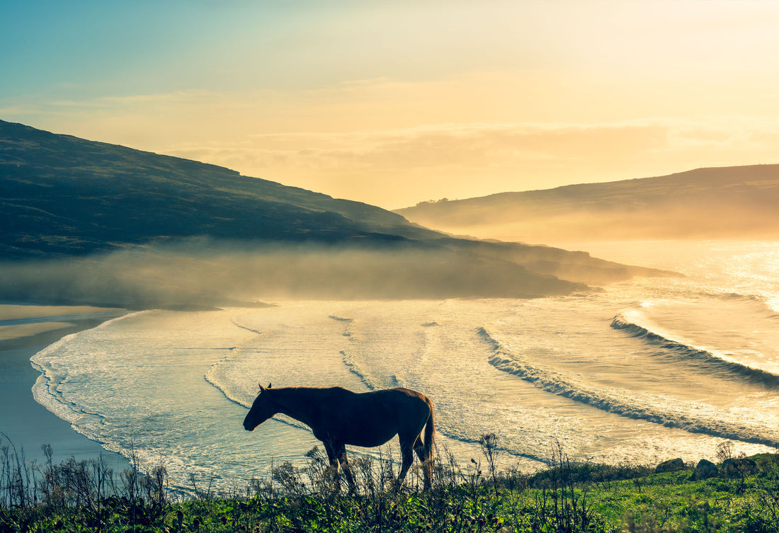 Sunrise Over Barley Cove