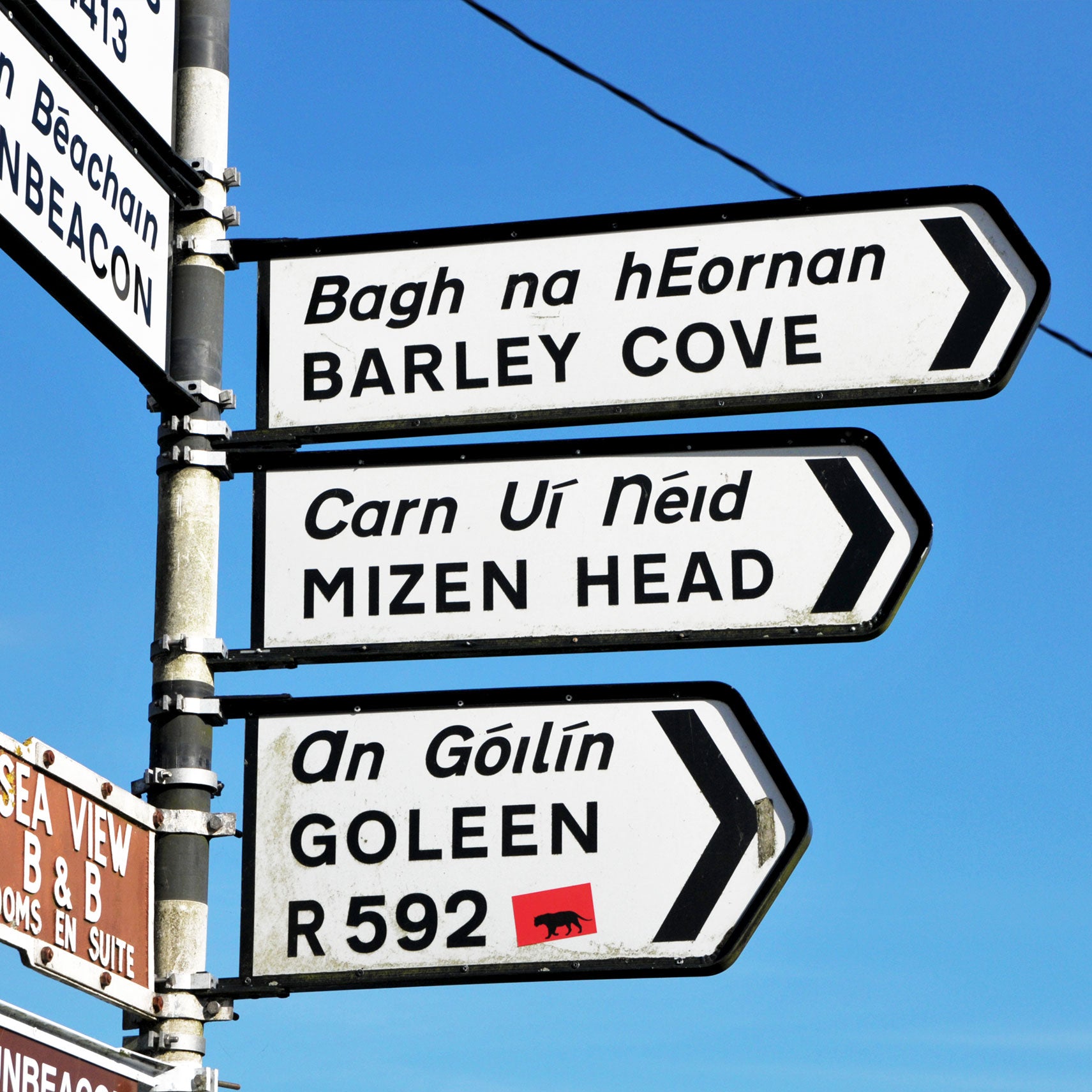 This Must be the Place