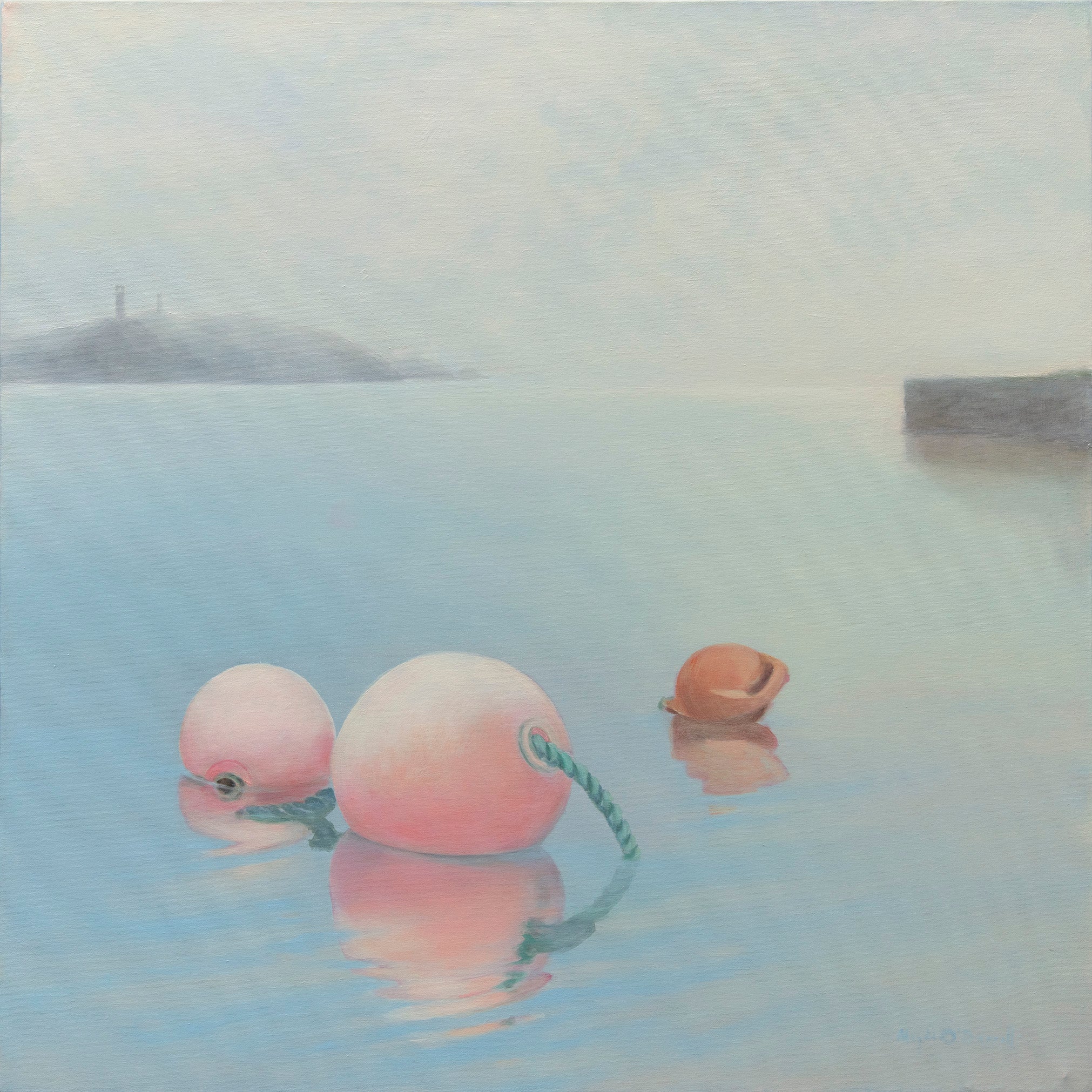 Crookhaven Harbour Bouys