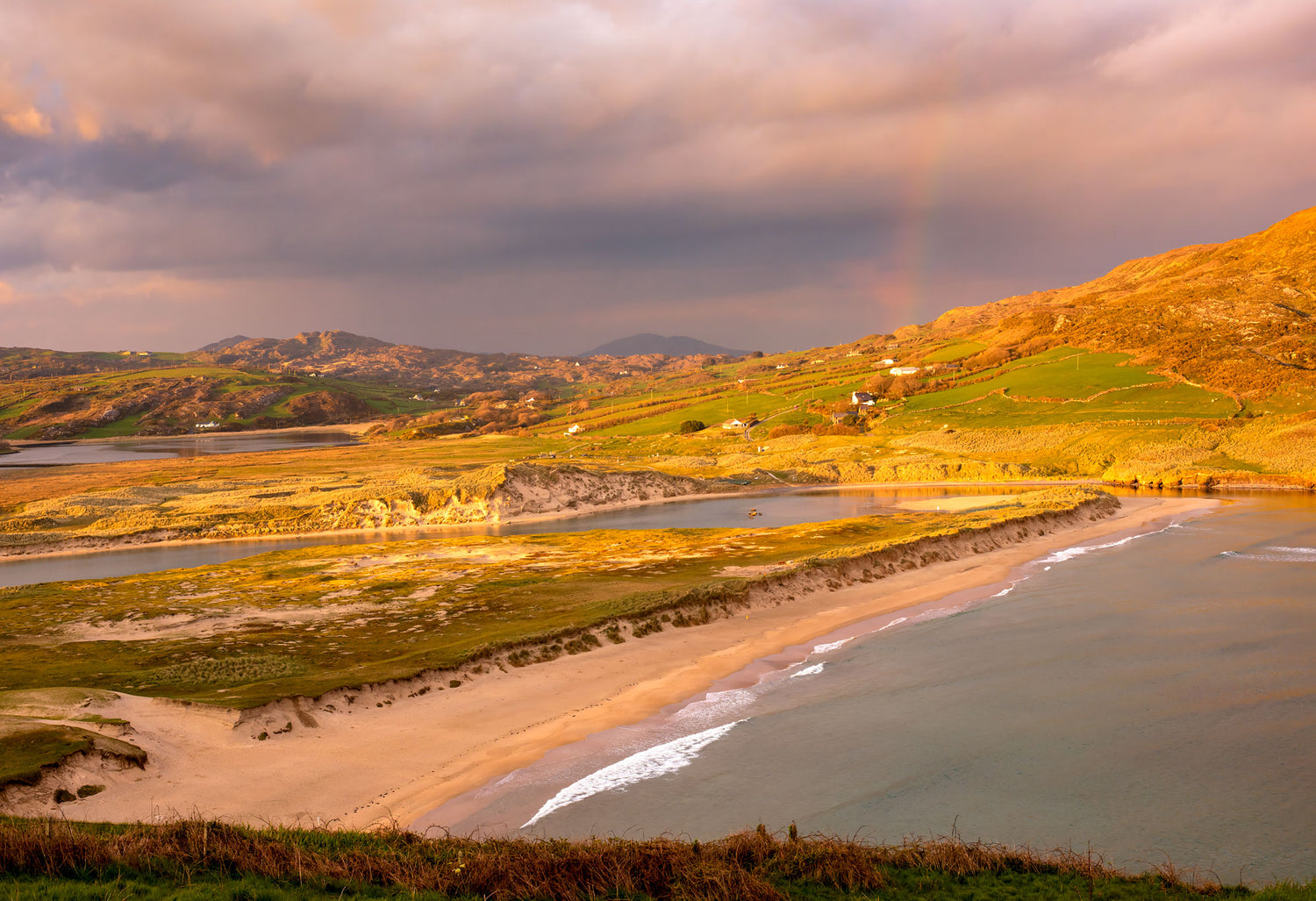 Golden Hour - Barley Cove &amp; Dough /NEW/