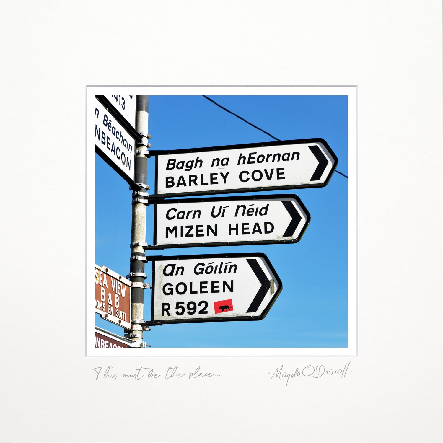 This Must be the Place