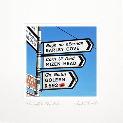 This Must be the Place