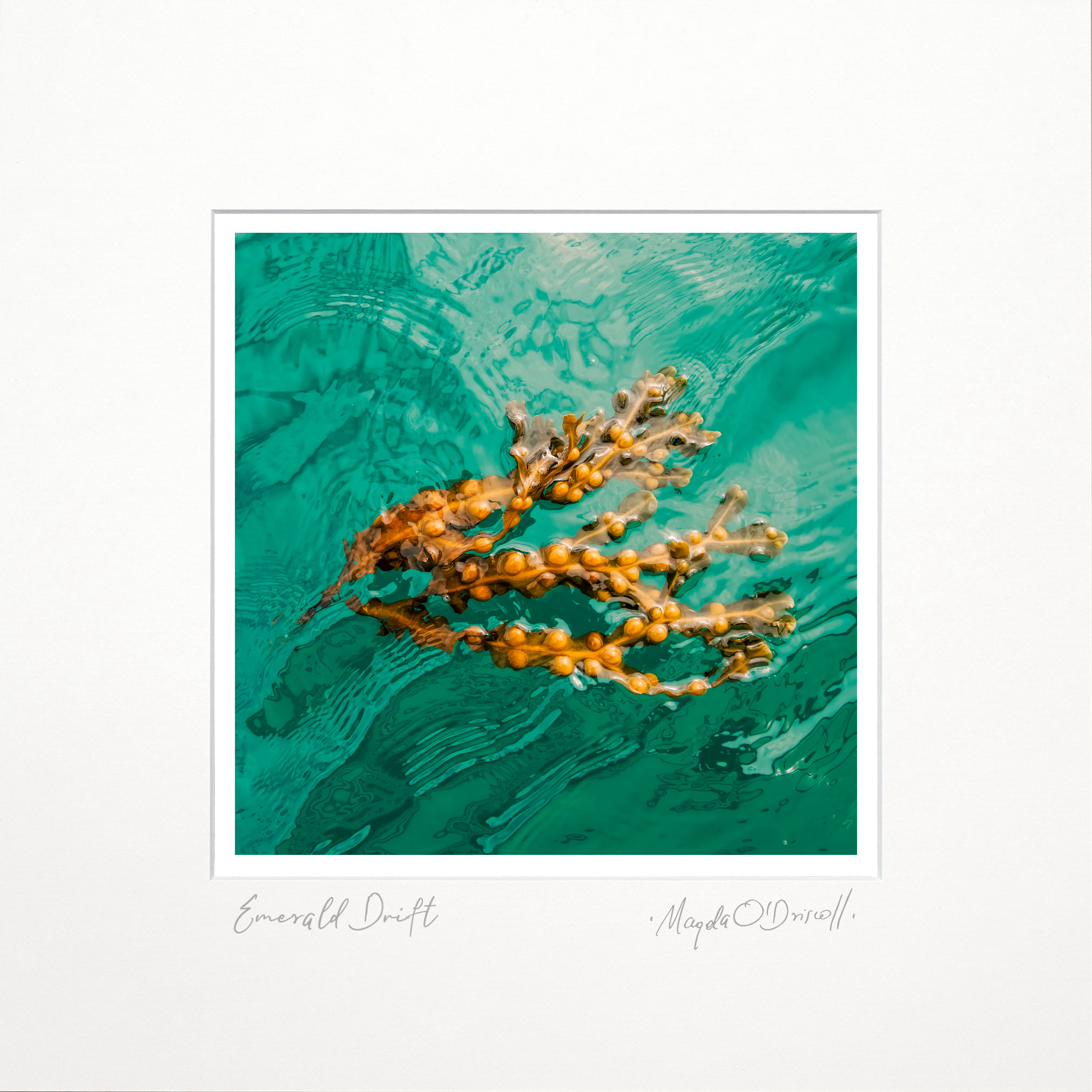 Emerald Drift /NEW/