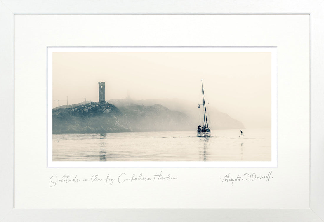 Solitude in the Fog Crookhaven
